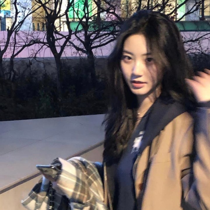 马达加斯加的企鹅
